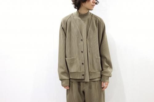 <img class='new_mark_img1' src='https://img.shop-pro.jp/img/new/icons47.gif' style='border:none;display:inline;margin:0px;padding:0px;width:auto;' />stein / GRADATION PLEATS CARDIGAN(DARK BEIGE)