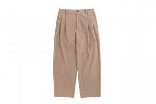 <img class='new_mark_img1' src='https://img.shop-pro.jp/img/new/icons47.gif' style='border:none;display:inline;margin:0px;padding:0px;width:auto;' />stein / GRADATION PLEATS TWO TUCK TROUSERS(DARK BEIGE) 