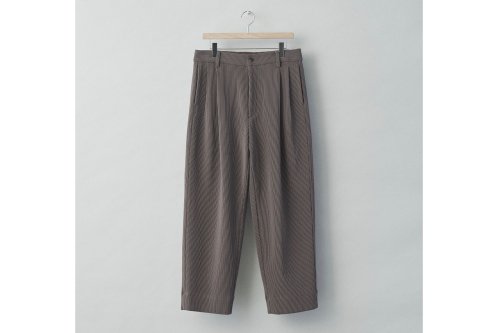 <img class='new_mark_img1' src='https://img.shop-pro.jp/img/new/icons47.gif' style='border:none;display:inline;margin:0px;padding:0px;width:auto;' />stein / GRADATION PLEATS WIDE TROUSERS(D.GREIGE) 