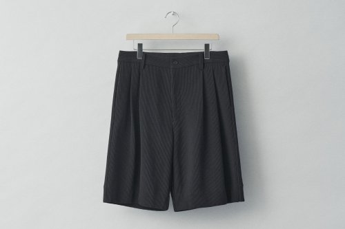 <img class='new_mark_img1' src='https://img.shop-pro.jp/img/new/icons47.gif' style='border:none;display:inline;margin:0px;padding:0px;width:auto;' />stein / GRADATION PLEATS SHORT TROUSERS(BLACK)