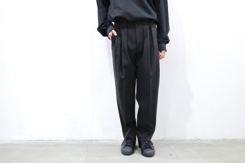 <img class='new_mark_img1' src='https://img.shop-pro.jp/img/new/icons2.gif' style='border:none;display:inline;margin:0px;padding:0px;width:auto;' />stein / DOUBLE WIDE TROUSERS(DARK CHARCOAL)
