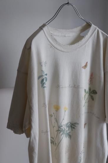ANCELLM アンセルム BOTANICAL T-SHIRT サイズ1 ANCELLM | アンセルム BOTANICAL T-SHIRT(WHITE) / ボタニカル