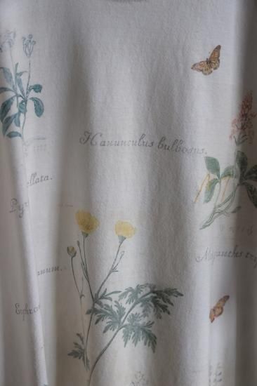 ANCELLM アンセルム BOTANICAL T-SHIRT サイズ1 ANCELLM - BOTANICAL T-SHIRT/WHITE | NapsNote