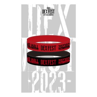 <img class='new_mark_img1' src='https://img.shop-pro.jp/img/new/icons5.gif' style='border:none;display:inline;margin:0px;padding:0px;width:auto;' />DEXCORE / RUBBER BAND（DEX FEST -2023-）