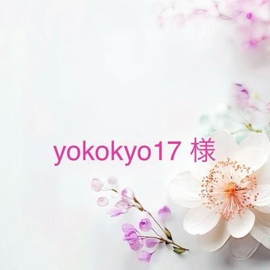 yokokyo17 ͡10/16ޤ