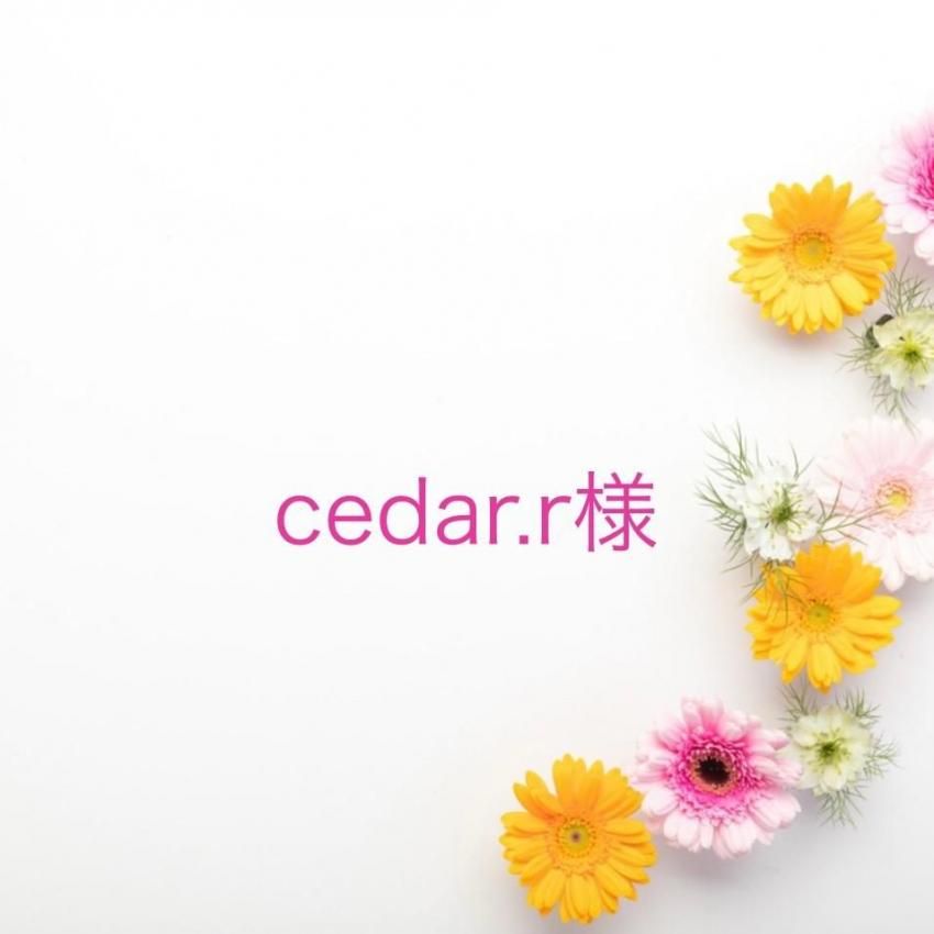 cedar.r ͡11/3ޤ