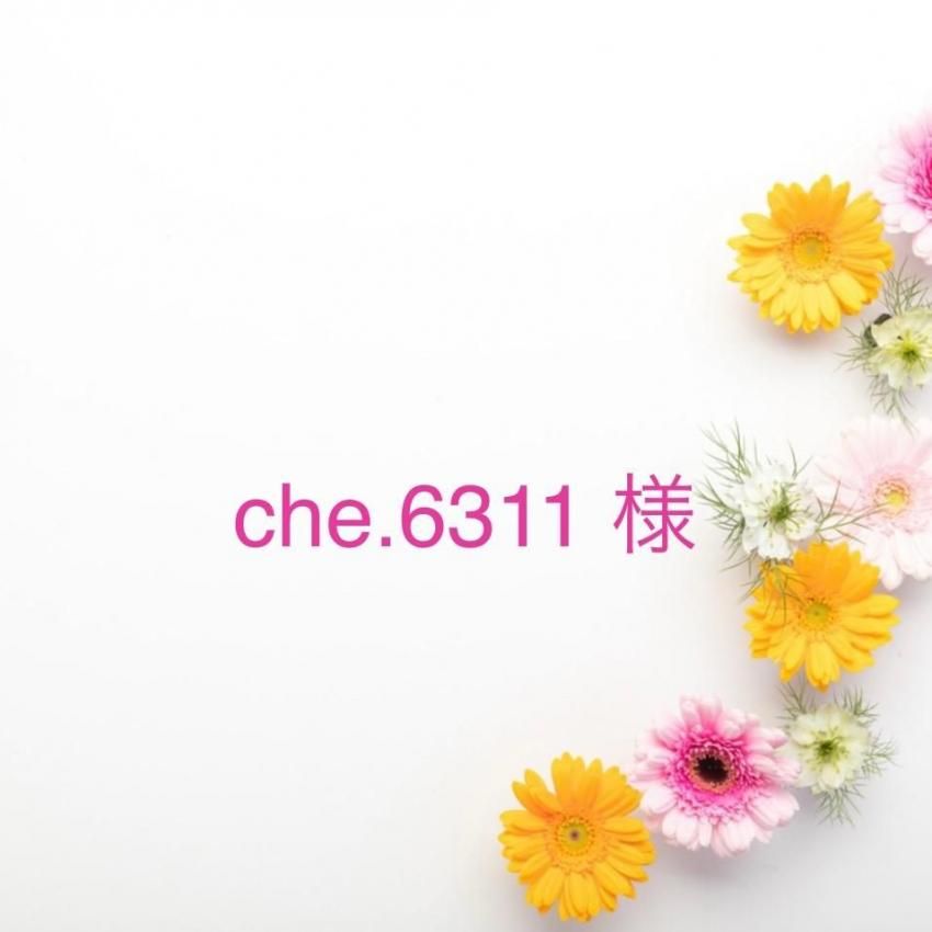 che.6311 ͡10/27ޤ