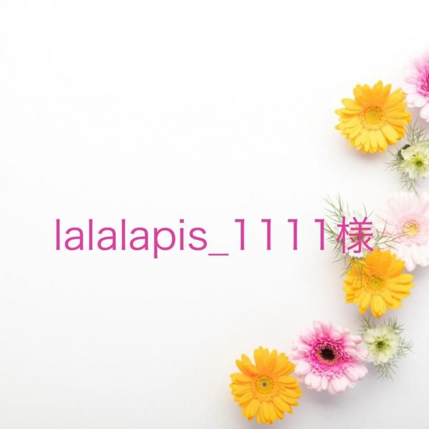 lalalapis_1111 ͡11/3ޤ