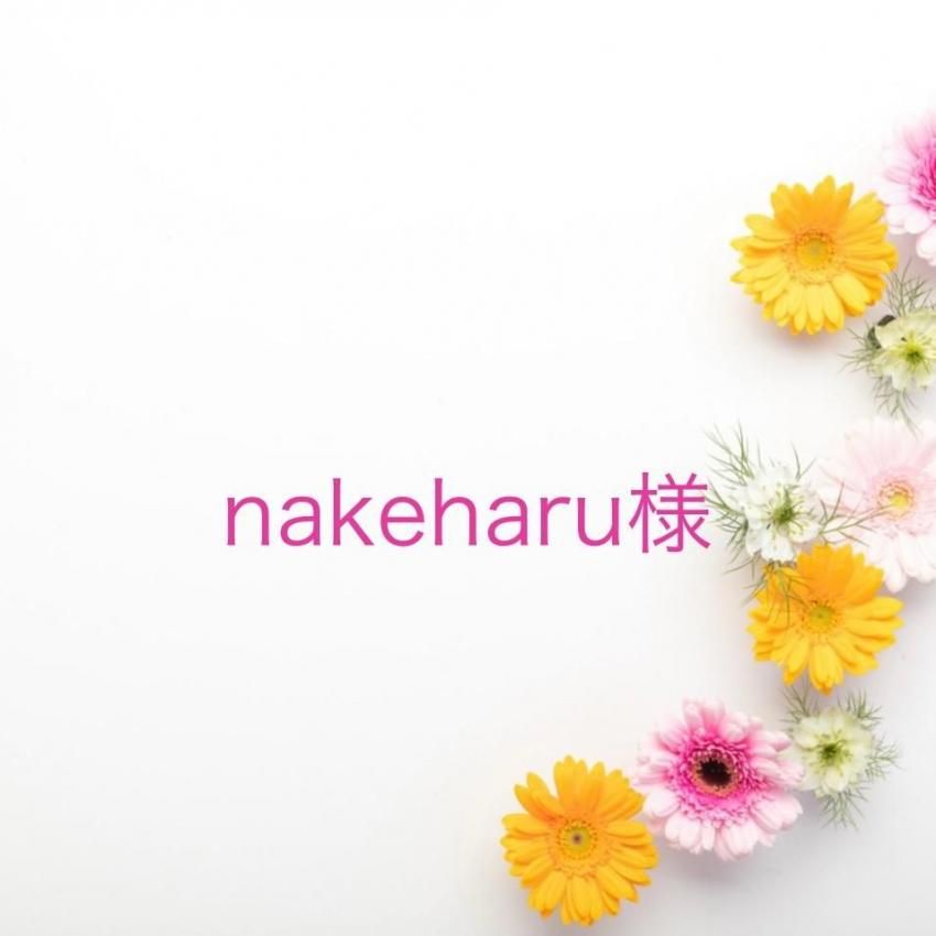 nakeharu ͡11/3ޤ