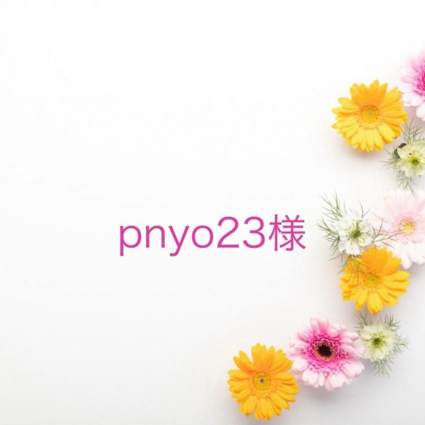 pnyo23 ͡11/3ޤ