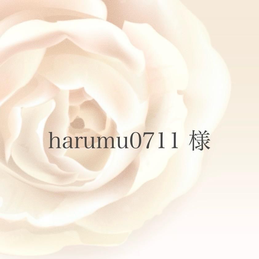 harumu0711 ͡11/13ޤ