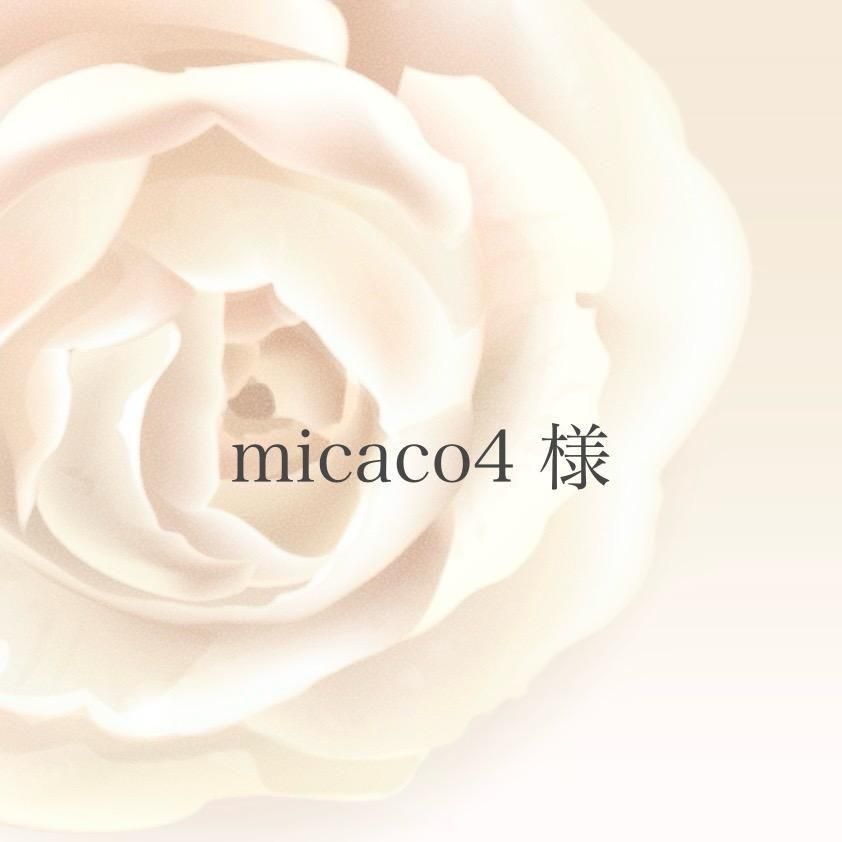 micaco4 ͡11/13ޤ