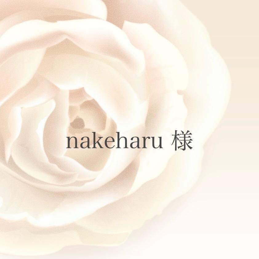 nakeharu ͡11/13ޤ