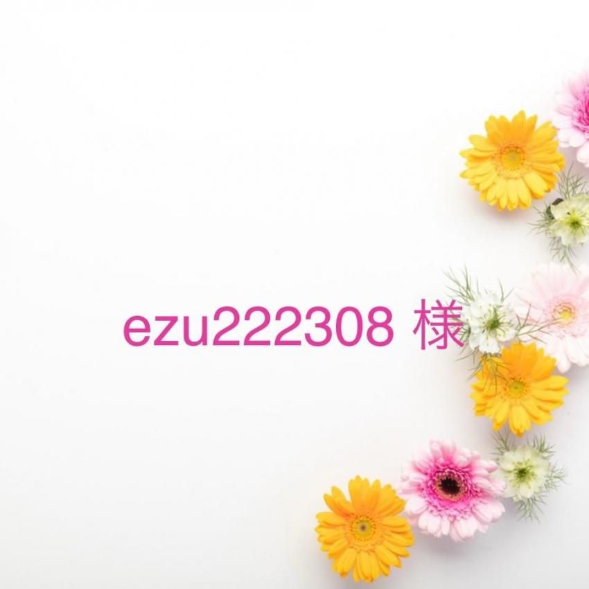 ezu222308 �͡�12/26�ޤ�