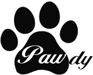 ̵źäĤȤϤ          󥳤ο˼ ѥǥ - pawdy