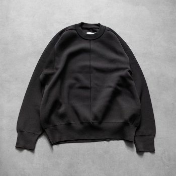 <img class='new_mark_img1' src='https://img.shop-pro.jp/img/new/icons14.gif' style='border:none;display:inline;margin:0px;padding:0px;width:auto;' />stein/ HIGH STRETCH CREW NECK KNIT LS 