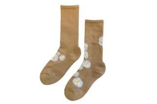 DAISY SPORTS SOCKS<br>CAMELξʲ