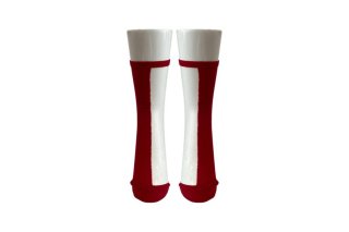 1COLOR SEE-THROUGH SOCKS<br>RED<img class='new_mark_img2' src='https://img.shop-pro.jp/img/new/icons5.gif' style='border:none;display:inline;margin:0px;padding:0px;width:auto;' />ξʲ