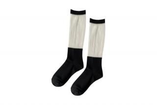 SWITCHING SEE-THROUGH SOCKS<br>BLACK<img class='new_mark_img2' src='https://img.shop-pro.jp/img/new/icons5.gif' style='border:none;display:inline;margin:0px;padding:0px;width:auto;' />ξʲ
