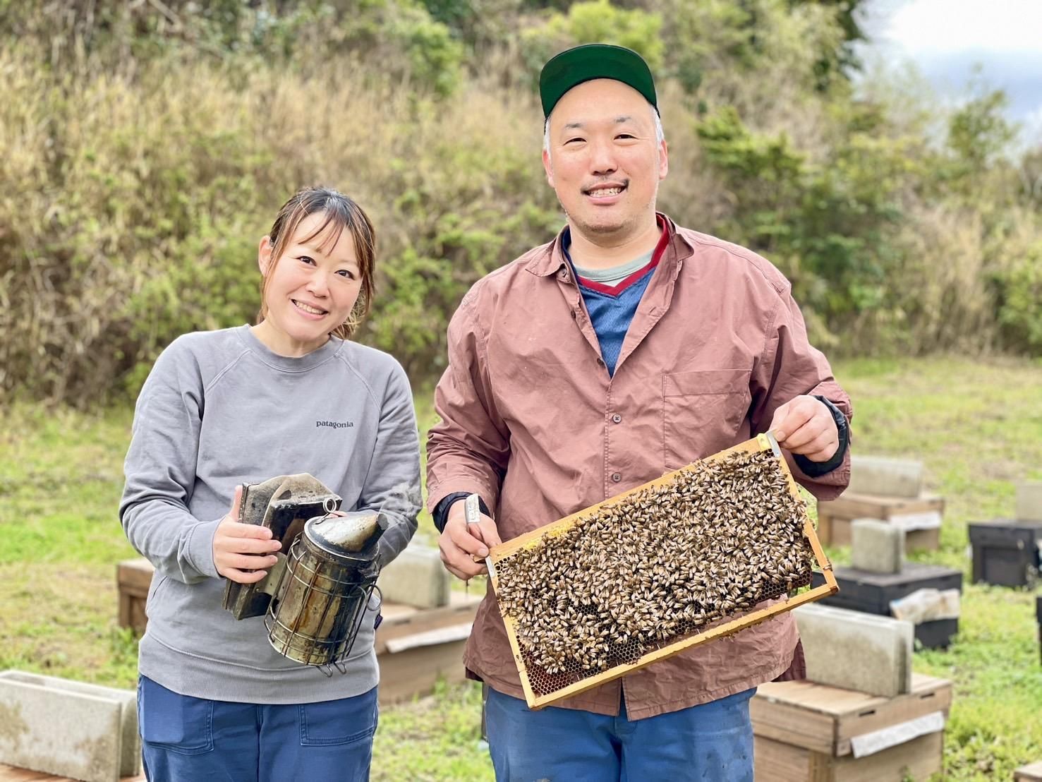 大阪府産はちみつ【480g2本】ギフトセット《くろがねもち 大阪府産はちみつ【480g2本】ギフトセット《くろがねもち