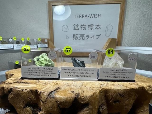 天然石　W様 せせせせせさま - 天然石・原石・鉱物標本のお店 TERRA-WISH