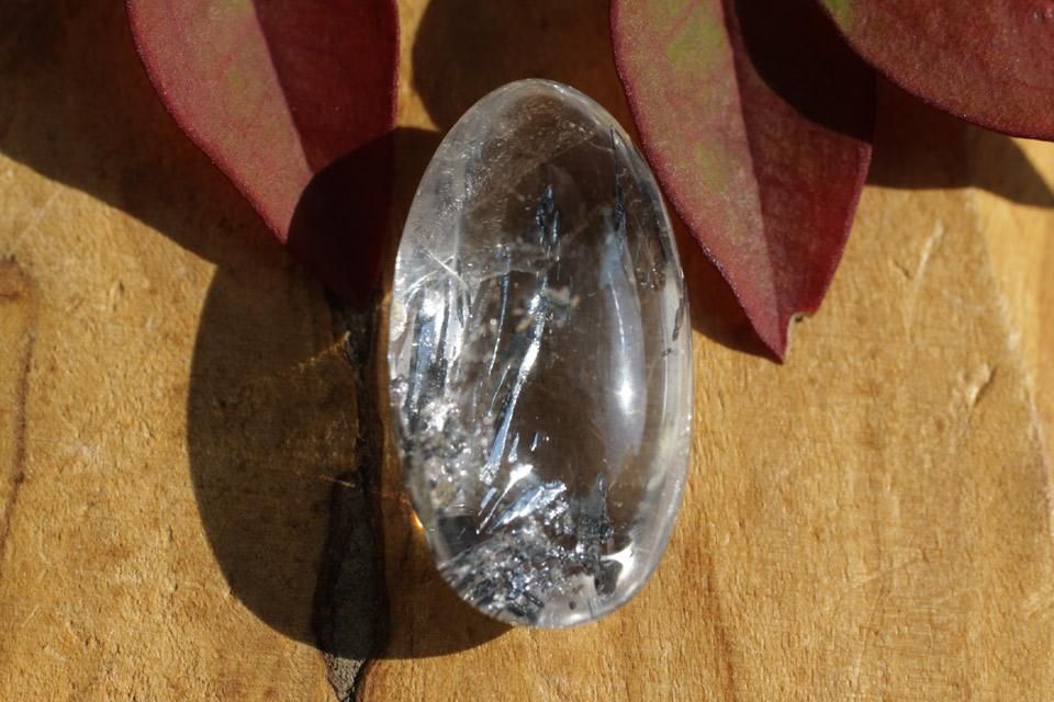 ƥ֥ʥȡ󡦥/롼009 terra-wish