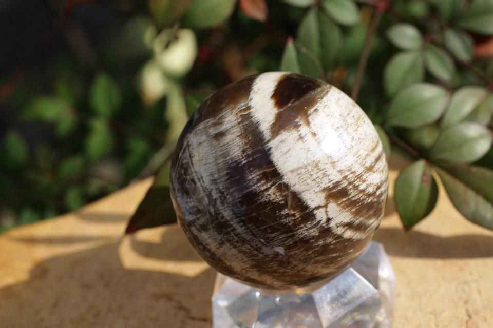 ペトリファイドウッドシリカ　スフィア 珪化木・スフィア ペトリファイドウッド Planets earth ウクライナ産