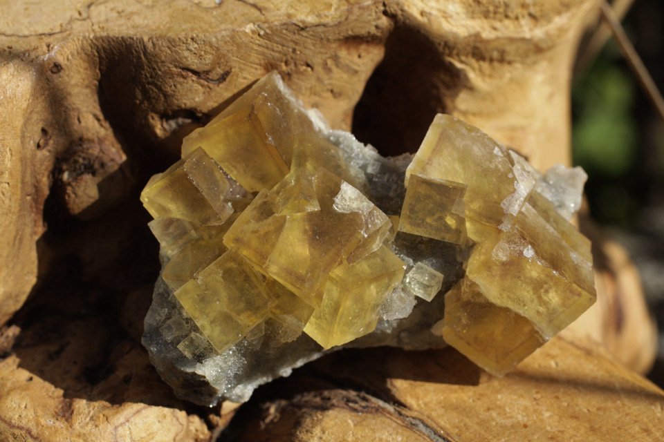 パープルゾーニング・イエローフローライト♪ 母岩付き結晶標本♪ - 天然石・アクセサリーのお店 TERRA-WISH