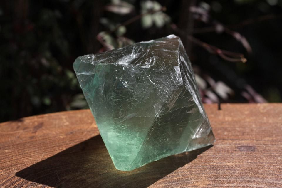 ե饤Ȭ016 terra-wish