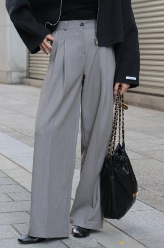 <img class='new_mark_img1' src='https://img.shop-pro.jp/img/new/icons14.gif' style='border:none;display:inline;margin:0px;padding:0px;width:auto;' />2 tuck wide slacks pants / gray
