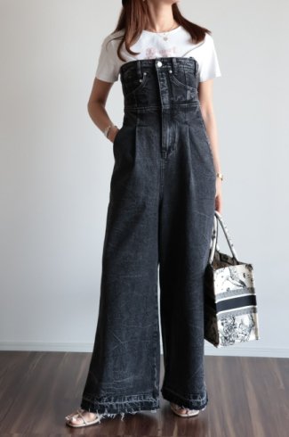 <img class='new_mark_img1' src='https://img.shop-pro.jp/img/new/icons14.gif' style='border:none;display:inline;margin:0px;padding:0px;width:auto;' />2way wide denim jump suit / black