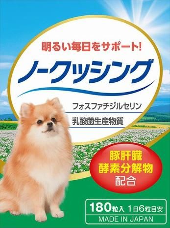 ڥåȥץ
