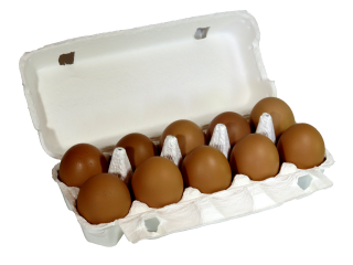 大地飼い自然卵　10個入りパック