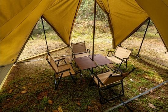 ゼインアーツ　ゼクーM tc ps-503 Amazon.co.jp: ZANE ARTS ゼインアーツ ZEKU-M TC ゼクーM TC PS