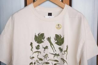 Хƥեå / LIBERTY GRAPHICS Frog Metamorphosis Ⱦµ ץ T