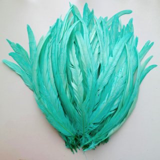 <img class='new_mark_img1' src='https://img.shop-pro.jp/img/new/icons56.gif' style='border:none;display:inline;margin:0px;padding:0px;width:auto;' />Long feather tiffany blue /ロング フェザー　ティファニーブルー （10本）