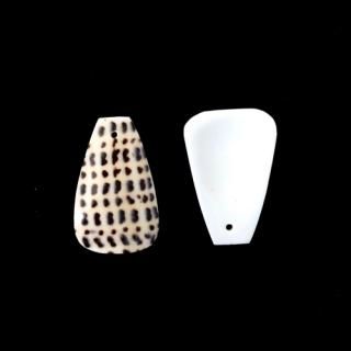 <img class='new_mark_img1' src='https://img.shop-pro.jp/img/new/icons14.gif' style='border:none;display:inline;margin:0px;padding:0px;width:auto;' />marble shell  / ޡ֥륷 