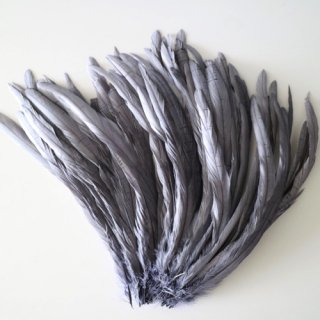 Long feather  gray/ロング フェザー　グレー（10本）