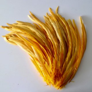 Long feather  Yellow gold/ロング フェザー　イエローゴールド（10本）