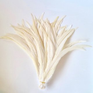 Long feather  white beige  /ロング フェザー ホワイトベージュ（10本）