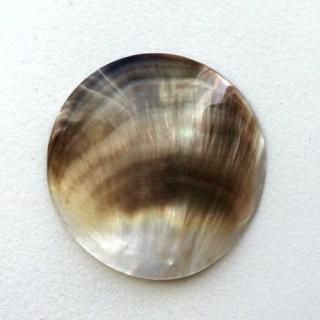 Black MOP / ֥åѡ륷ʣcm