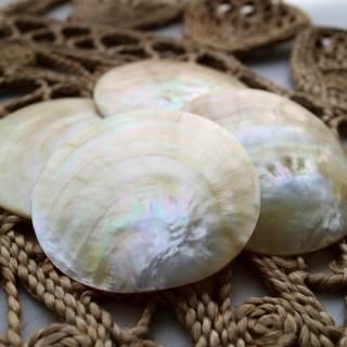 White MOP / ۥ磻ȥѡ륷 (9cm)