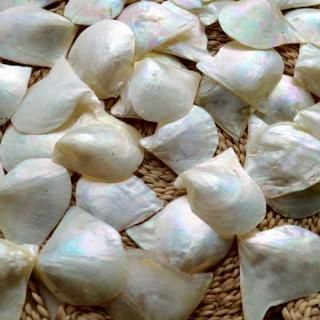 Silver MOP pcs / С (cm