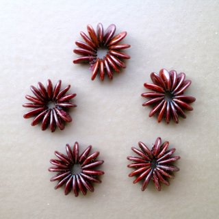 Koa seed roses （５pcs）/ コアシードローズ