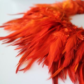 feather roll Orange gold / フェザーロール オレンジゴールド　1m