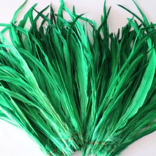 Long feather Green /ロング フェザー グリーン （10本）