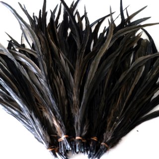 Long feather Black /ロング フェザー ブラック （10本）