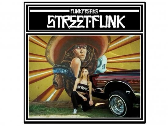 <img class='new_mark_img1' src='https://img.shop-pro.jp/img/new/icons8.gif' style='border:none;display:inline;margin:0px;padding:0px;width:auto;' />FUNK FREAKS ե󥯥ե꡼ 