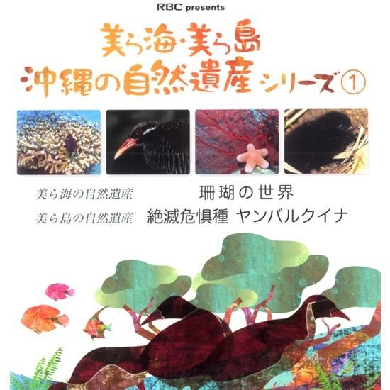 オンラインを販売 【中古】 琉球列島の生いたち (1984年) (シリーズ