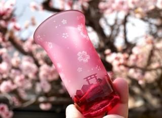 桜花街・華奢【撫子】